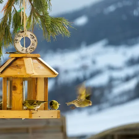 Apartmán Liab Schladming