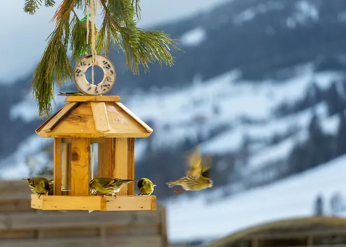 公寓 Liab 斯拉德明